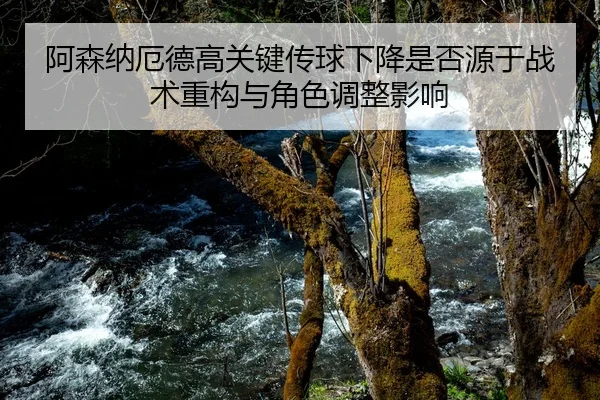 阿森纳厄德高关键传球下降是否源于战术重构与角色调整影响 - kaiyun