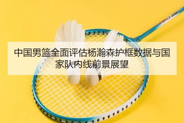 中国男篮全面评估杨瀚森护框数据与国家队内线前景展望