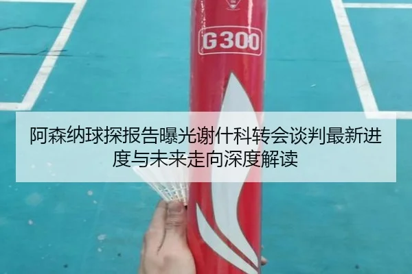 阿森纳球探报告曝光谢什科转会谈判最新进度与未来走向深度解读